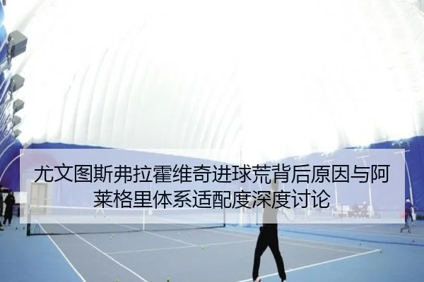 尤文图斯弗拉霍维奇进球荒背后原因与阿莱格里体系适配度深度讨论