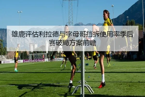 雄鹿评估利拉德与字母哥挡拆使用率季后赛破局方案前瞻