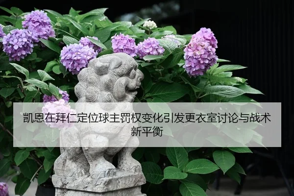 凯恩在拜仁定位球主罚权变化引发更衣室讨论与战术新平衡